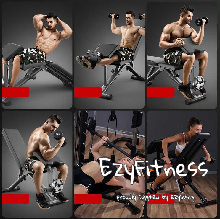 Foldable Bench with Preachers Curl (EZ001) - www.ezyliving.co.nz