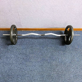 35KG Weights Combo: 30KG Casted Metal Plates + 1.2m Curl Bar (4ft) Standard 25mm (EZ035C30KG-031-2) - www.ezyliving.co.nz