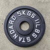 Cast Iron Weights Plates (EZ220) 1.25KG to 25KG - www.ezyliving.co.nz