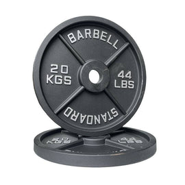20KGX2 Cast Iron Weights Plates (EZ220-6X2) - www.ezyliving.co.nz