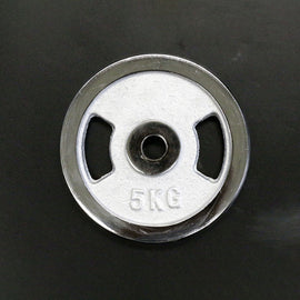 Standard Plates 20KG Silver Chrome 25mm - www.ezyliving.co.nz