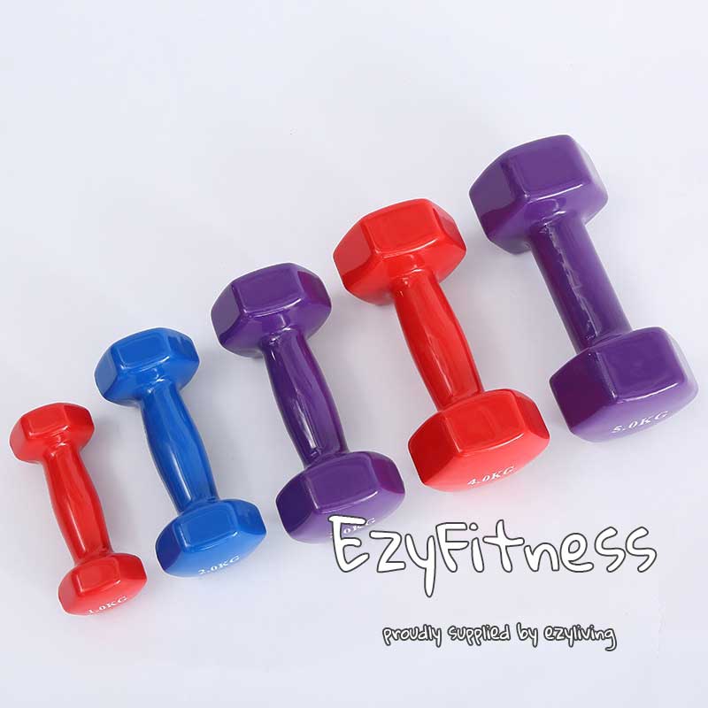 2KGx2 Rubber Dumbbells (assorted color) (EZ041-4) - www.ezyliving.co.nz