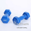 2KGx2 Rubber Dumbbells (assorted color) (EZ041-4) - www.ezyliving.co.nz