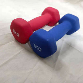 1KGX2 Rubber Dumbbells Hex ONE PAIR (assorted color) EZ213-1X2 - www.ezyliving.co.nz