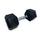 Hex Dumbbell - www.ezyliving.co.nz